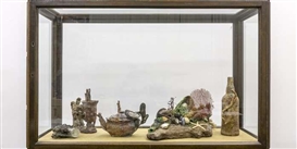 Mark Dion: The Wondrous Museum of Nature at Kunstmuseum St. Gallen